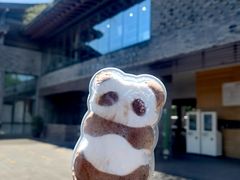 -都江堰中华大熊猫苑
