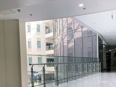 -首都医科大学附属北京天坛医院