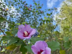 -梁鸿国家湿地公园