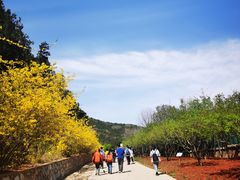 -北京西山国家森林公园