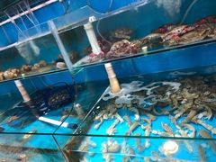 -老虎滩大连海鲜烧烤(建邺云锦路总店)