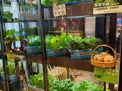 -番食园鲜食火锅(高新店)