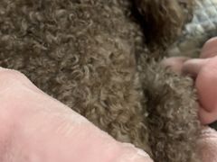 -宠福鑫康馨动物医院·骨科·眼科