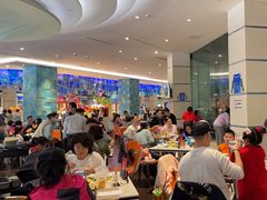 -帝企鹅自助餐厅•儿童岛•真企鹅(长隆企鹅酒店)