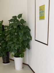 -贵阳美莱医疗美容整形医院