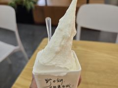 -野人先生Gelato(上海长宁龙之梦店)