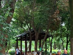 -沙河三洞古桥公园