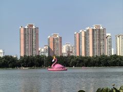 -莲花池公园