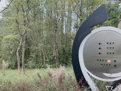 -桤木河湿地公园