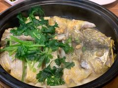 豆瓣黄鱼-阿义海鲜粥(九眼桥店)