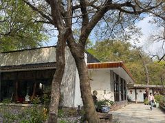 -绿野餐厅(上海动物园店)