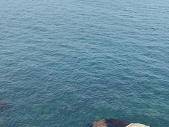 -杨梅坑