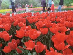 -石家庄市植物园