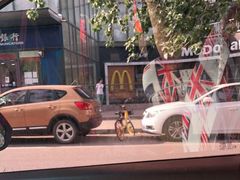 -麦当劳(朝阳北路店)