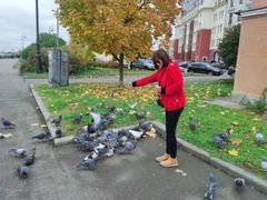 -滴血救世主教堂