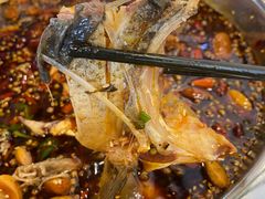 -川胖子美蛙鱼头(公园路店)