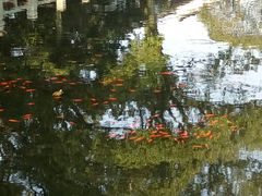 -普陀山风景名胜区-法雨禅寺