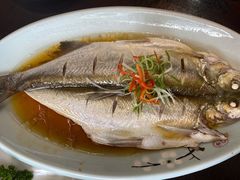 清蒸白水鱼-紅楼酒家(朱家角店)