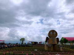 -富田农场