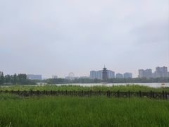 -洋湖国家湿地公园