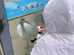 -盐城丹顶鹤湿地生态旅游区