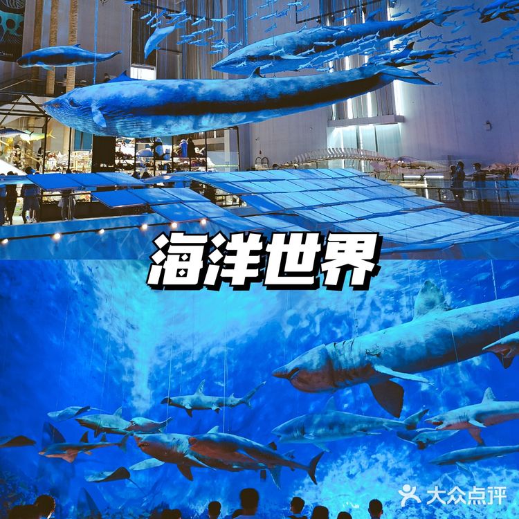 广州探馆|夏日遛娃好去处|免费带娃科普虾蟹知识  