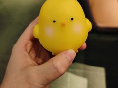 -同仁四季椰子鸡(宝安壹方城店)