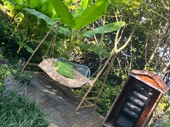 -天目湖涵田半山温泉