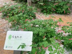 -仁和公园(顺义区)