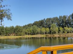 -东郊湿地公园