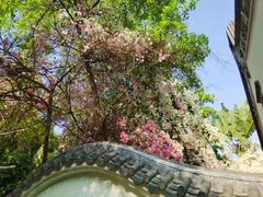 -深圳国际园林花卉博览园