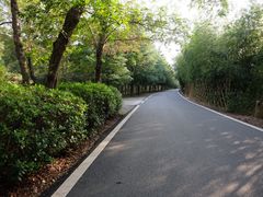 -金孔雀温泉旅游度假村