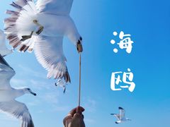 -海驴岛(荣成市)