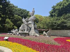 -金鸡山公园