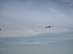 -重庆楊門机场老火锅(20年老店两路总店)