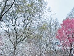 -堤角公园