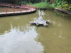 -珠海圆明新园