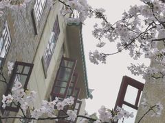 -武汉大学-樱园
