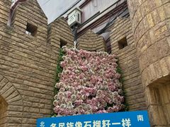-伊带伊路新疆美食府(呼家楼店)