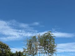 -少华山国家森林公园