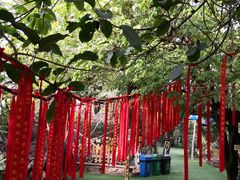 -呀路古热带植物园