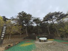 -北京西山国家森林公园