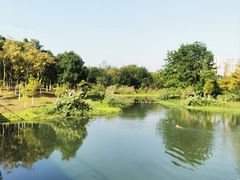 -洋湖国家湿地公园