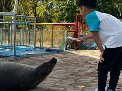 -北戴河圣蓝海洋公园