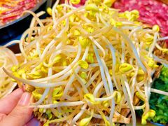 -阳阳老火锅(小南门店)