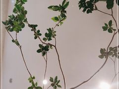 -本处·素食·融合料理(南油店)