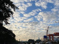 -深圳湾公园(南山区)