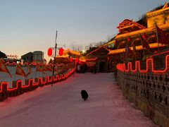 -采薇庄园四季滑雪场