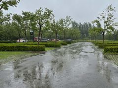 -东郊湿地公园