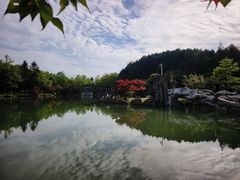 -四明山国家森林公园